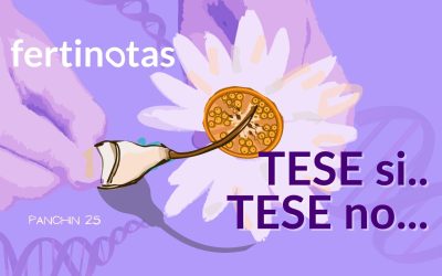 TESE sí, TESE no: cómo la genética empieza a guiar la decisión