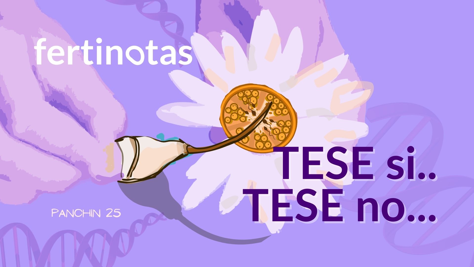 TESE y genética la decisión sobre la azoospermia Panchin Ilustración conceptual de una margarita deshojada: un pétalo arrancado se transforma en un espermatozoide. El centro de la flor muestra un corte de un túbulo seminífero con espermatogénesis activa, simbolizando la búsqueda de espermatozoides en la azoospermia y las decisiones clínicas sobre la TESE.