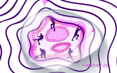 Implantación del embrión: la ciencia revela las fuerzas involucradas