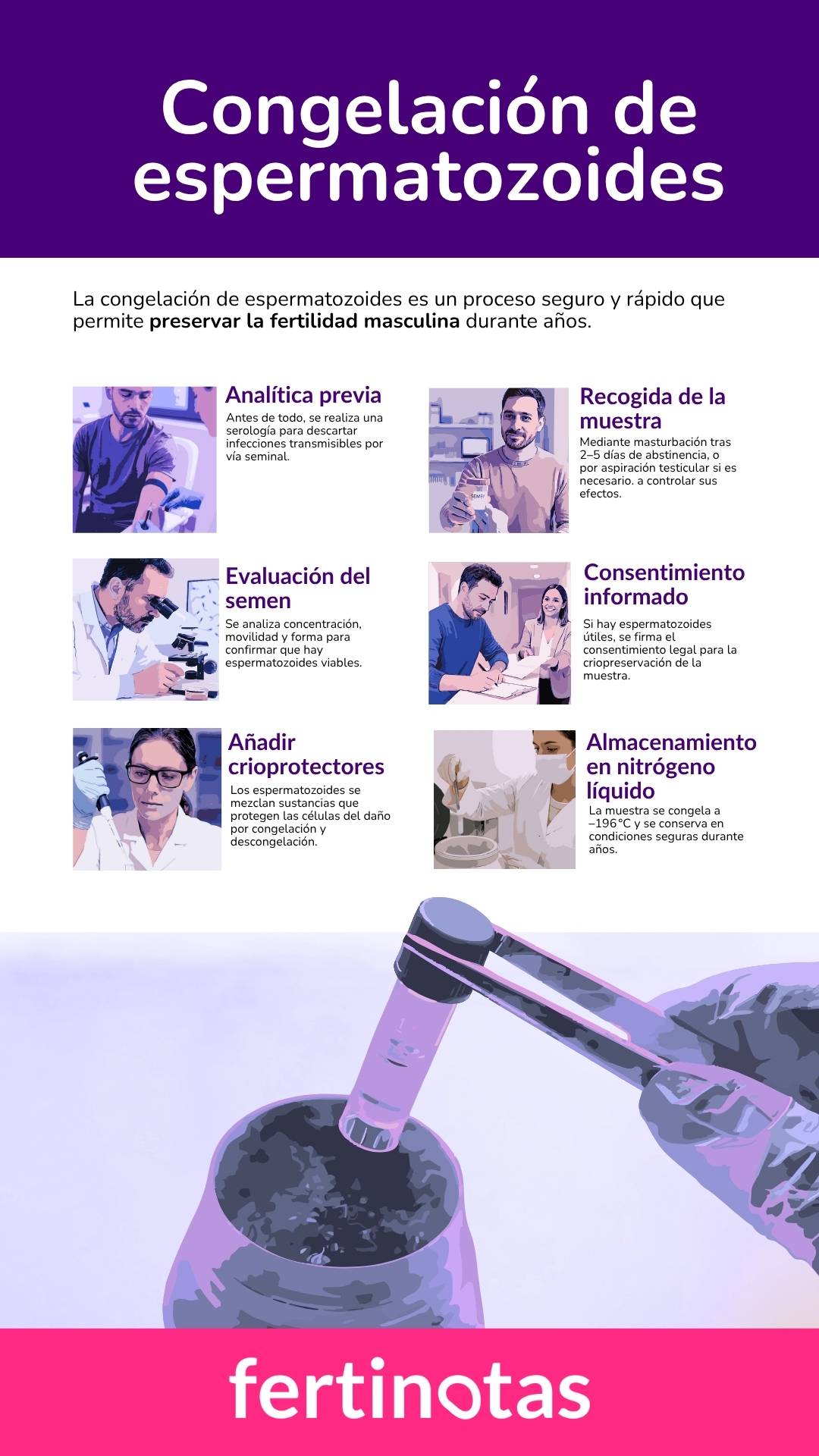 como se congela una muestra de esperma Infografía del proceso de congelación de esperma con recogida, análisis, crioprotectores y almacenamiento