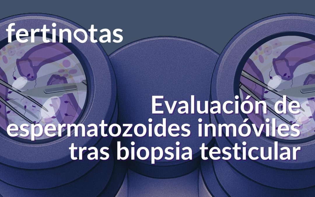 ¿Se pueden usar espermatozoides inmóviles en FIV?