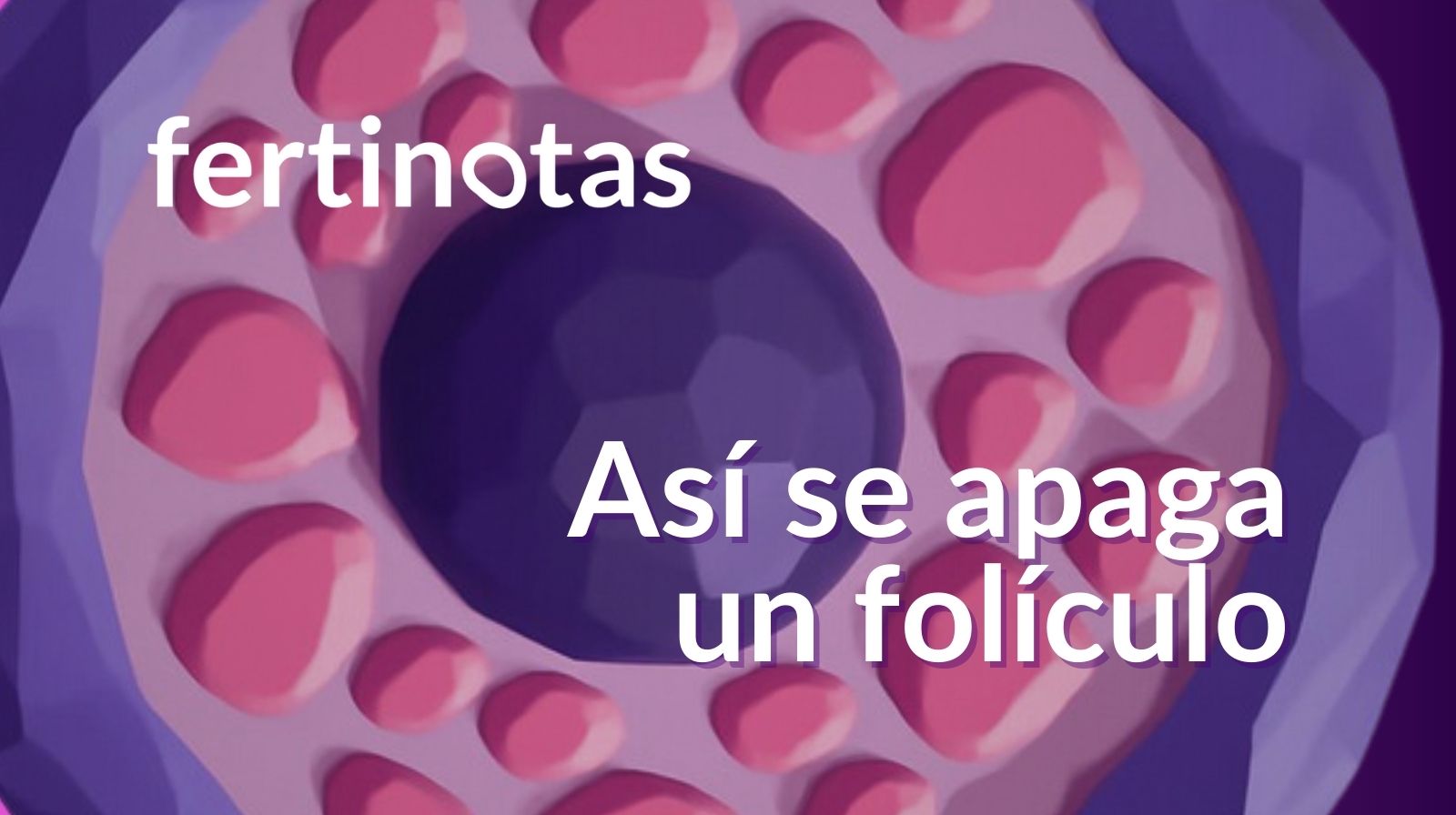 Ilustración de un folículo ovárico en proceso de atresia, mostrando cómo deja de desarrollarse durante el ciclo menstrual.