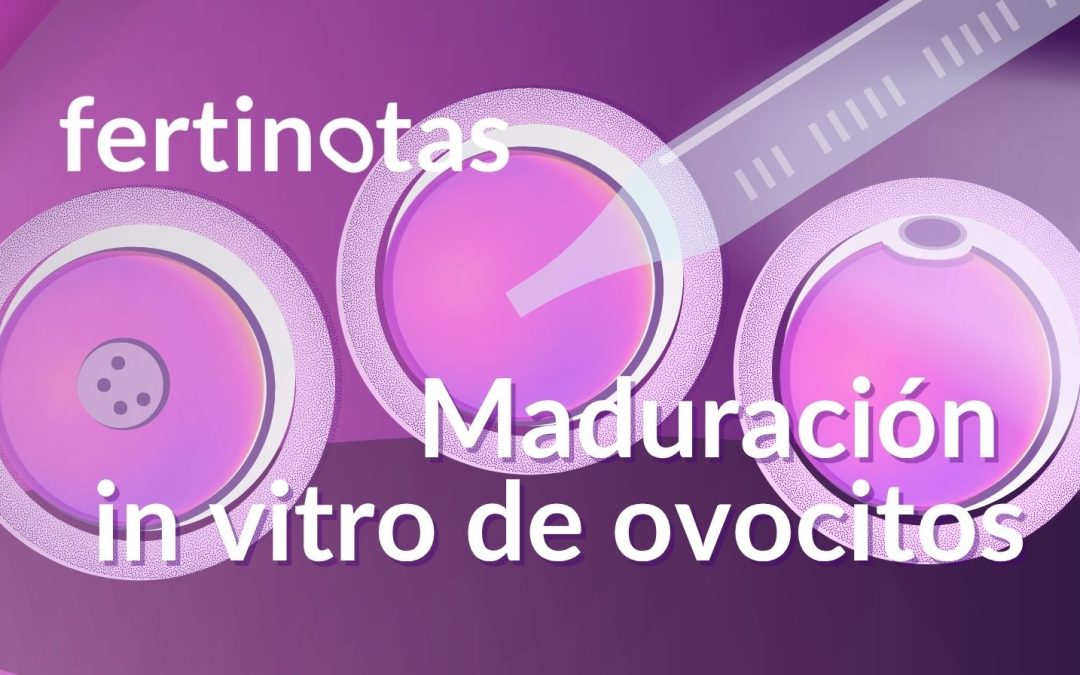Maduración in vitro de ovocitos (IVM): ciencia y esperanza