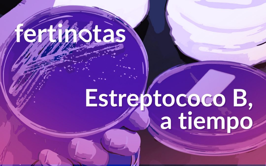 Prueba del estreptococo B: qué es y por qué es importante en el embarazo