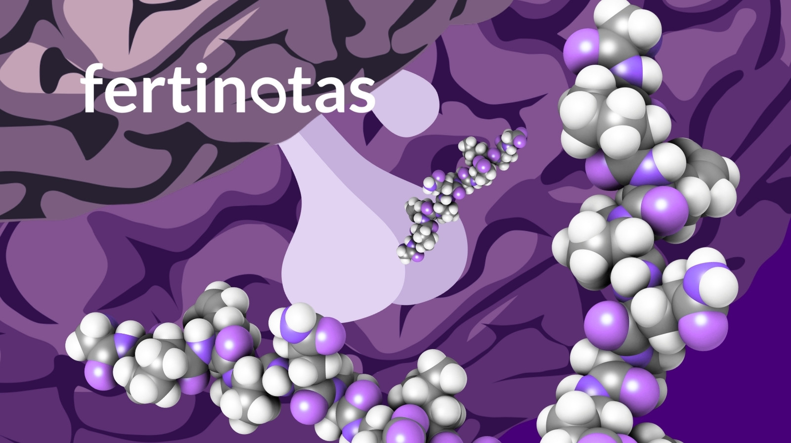 Representación visual de la hormona LH y su papel en la ovulación durante el ciclo menstrual femenino