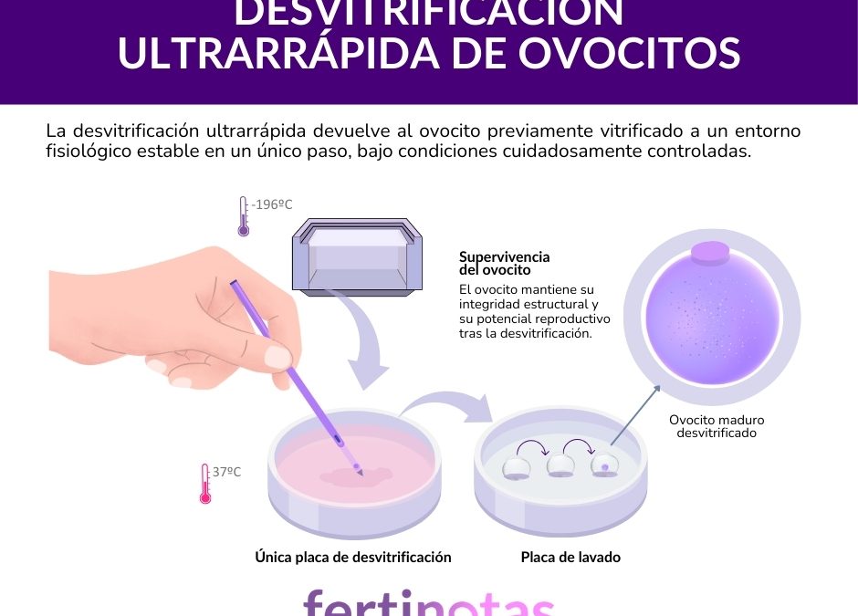 Desvitrificación de ovocitos en un solo paso: nuevos datos clínicos