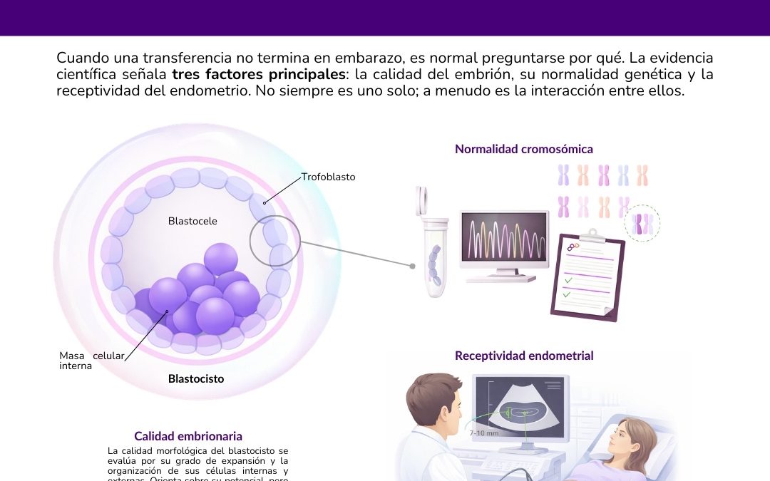 ¿Por qué no implantó el embrión?