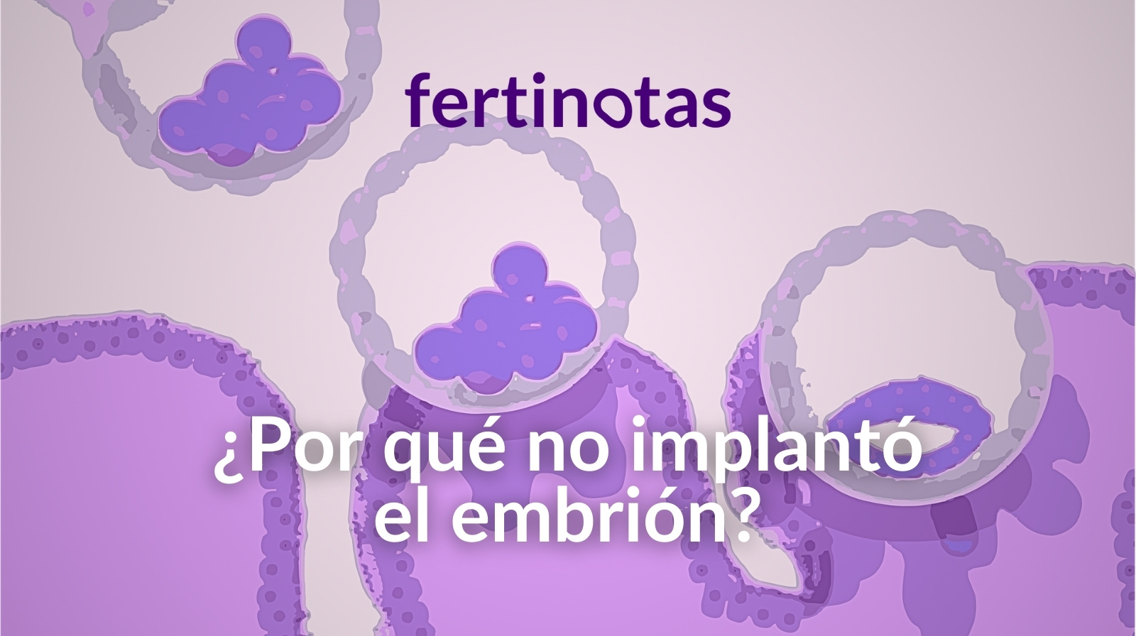 Ilustración médica de un blastocisto acercándose al endometrio durante el proceso de implantación en fecundación in vitro.