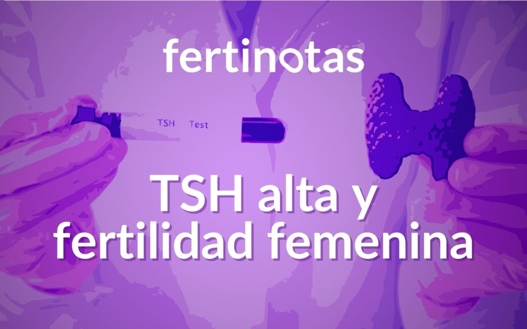 TSH alta y fertilidad femenina: qué significa y cuándo tratarla