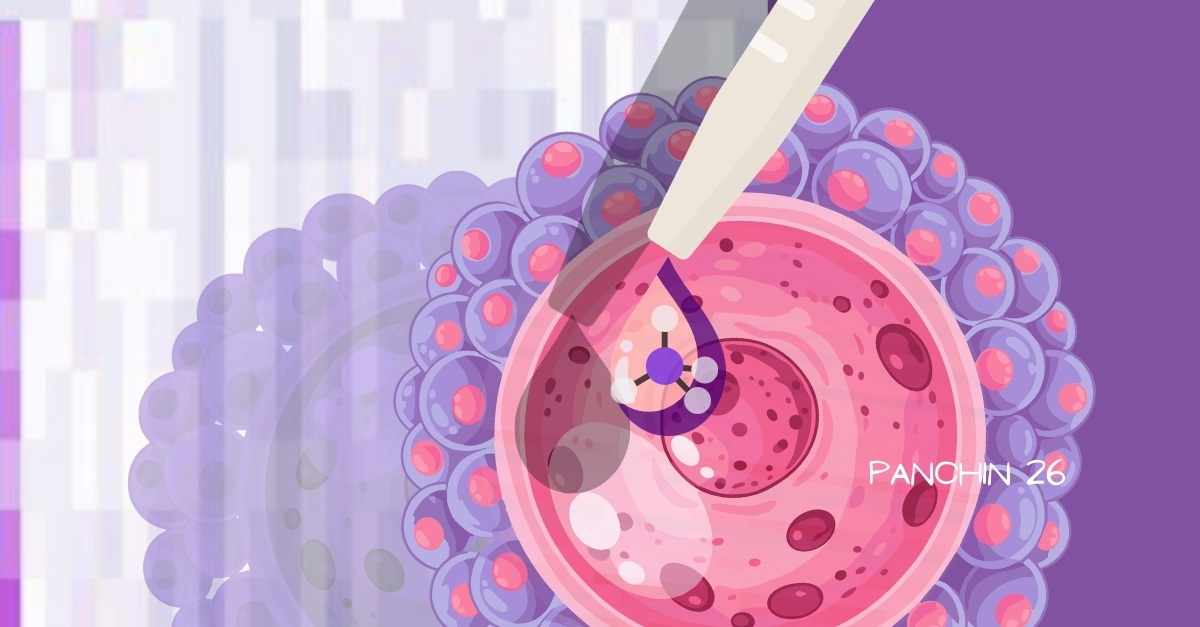 Ilustración de ovocito en maduración con intervención en laboratorio y señales moleculares relacionadas con pro-cumulin