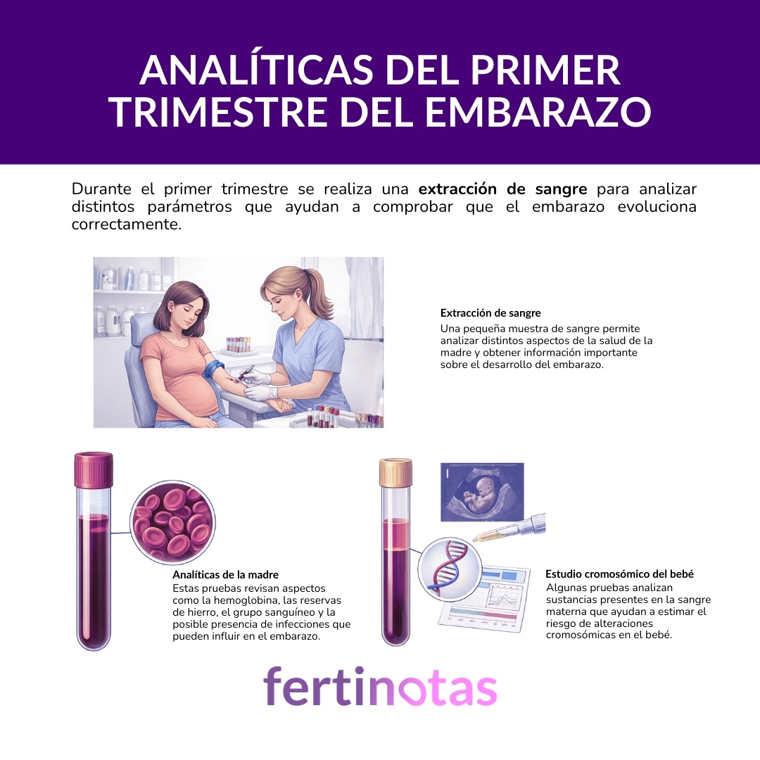 Infografía sobre las analíticas del primer trimestre del embarazo y los parámetros que se estudian en la sangre materna
