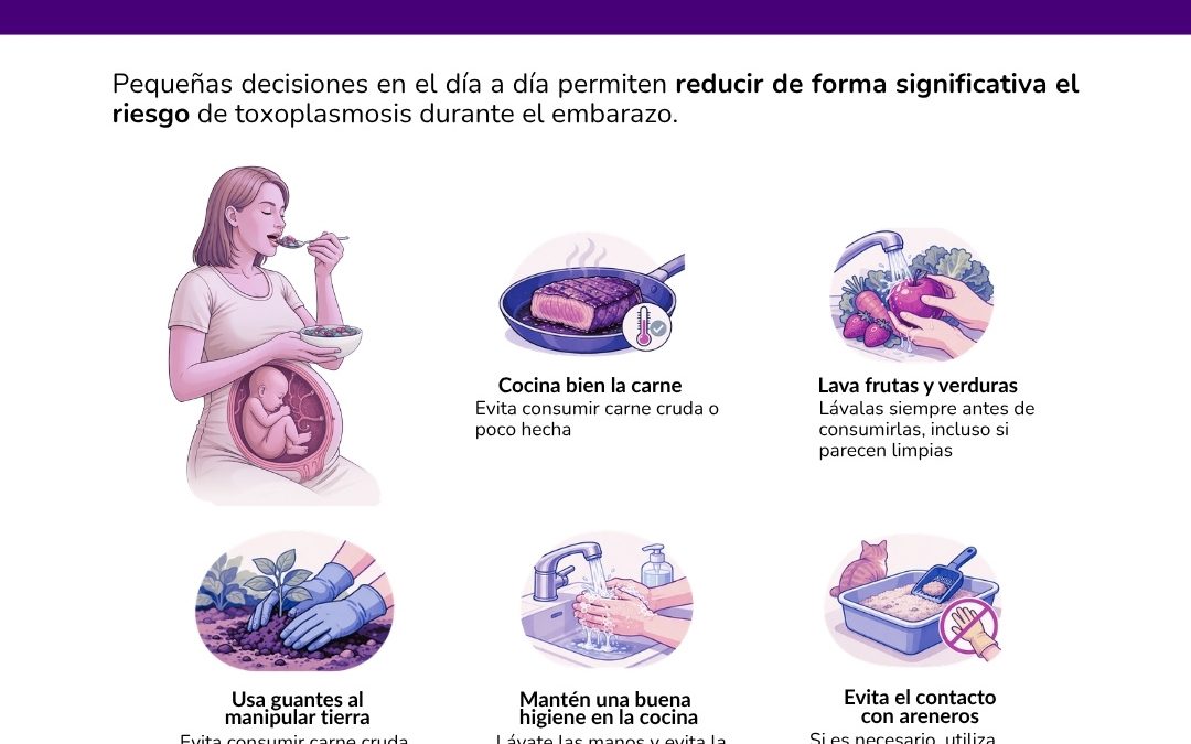 Toxoplasmosis en el embarazo: contagio y prevención