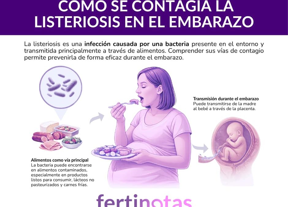 Listeriosis en el embarazo: cómo prevenirla