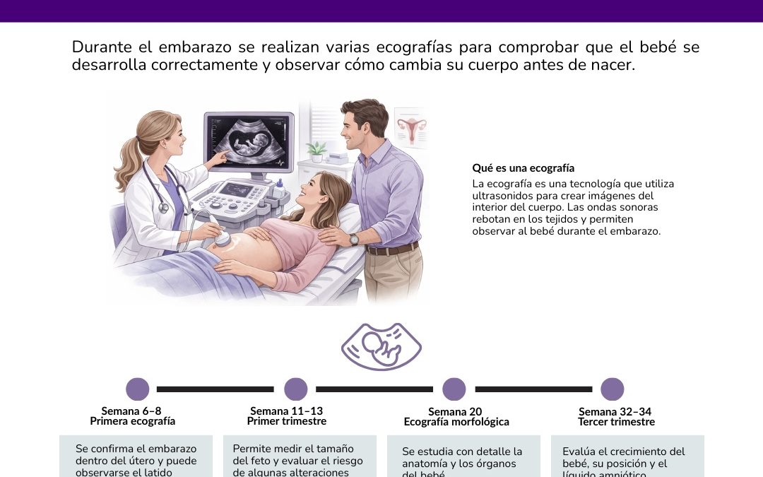 Cuántas ecografías se hacen durante el embarazo
