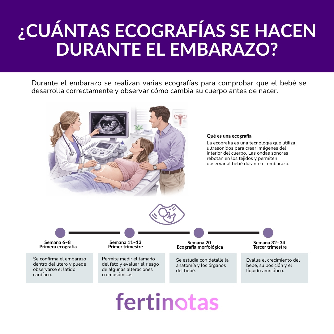 Infografía que muestra las ecografías del embarazo: semana 6-8, semana 11-13, semana 20 y semana 32-34