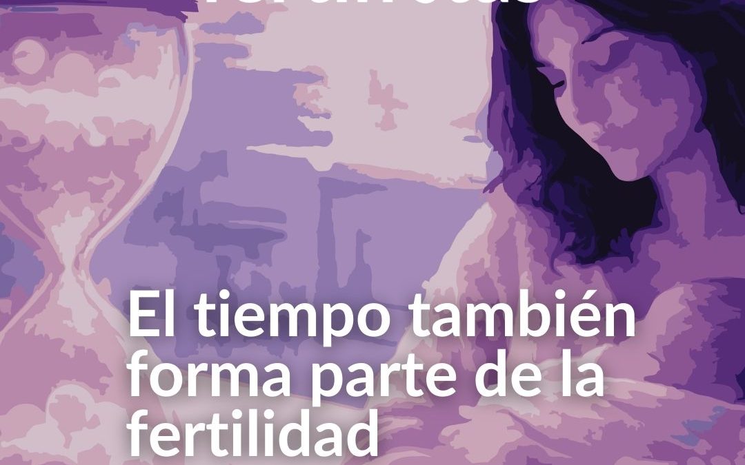 Cuántos óvulos conviene congelar para tener hijos en el futuro