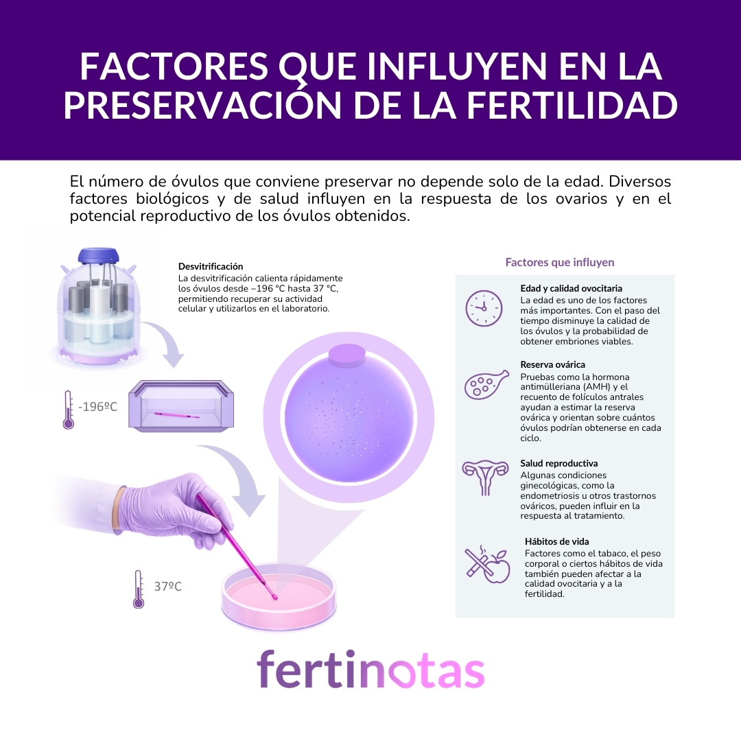 Factores biológicos que influyen en cuántos óvulos conviene congelar