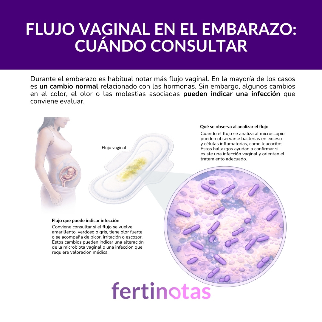 Exploración ginecológica para evaluar el flujo vaginal durante el embarazo