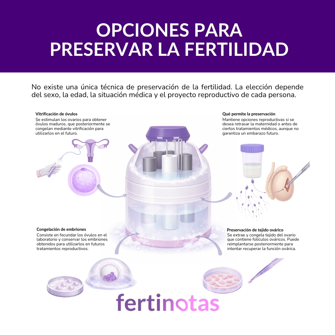 Infografía sobre las principales técnicas para preservar la fertilidad como vitrificación de óvulos, congelación de embriones y tejido ovárico.