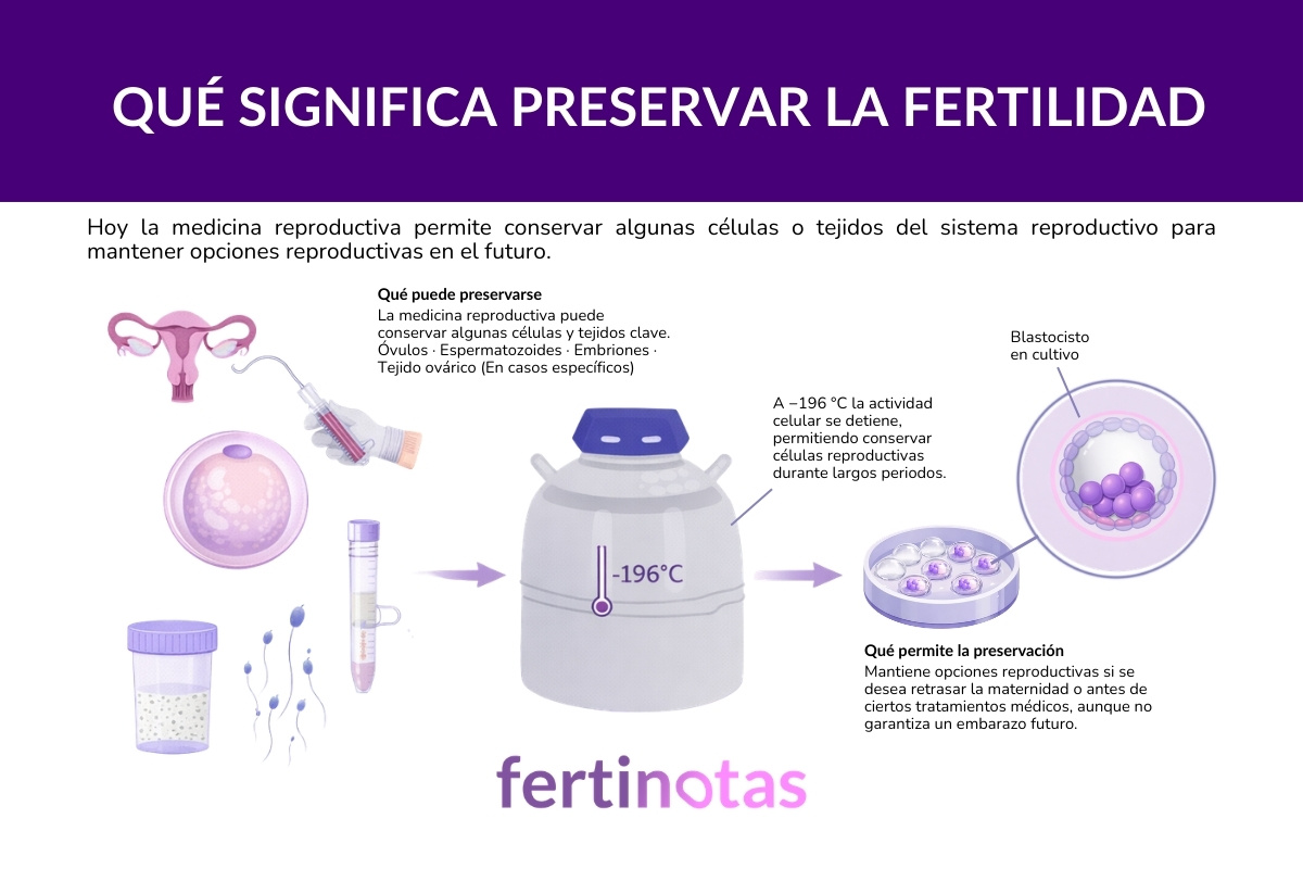 Infografía que explica qué significa preservar la fertilidad mediante criopreservación de óvulos, espermatozoides o embriones.