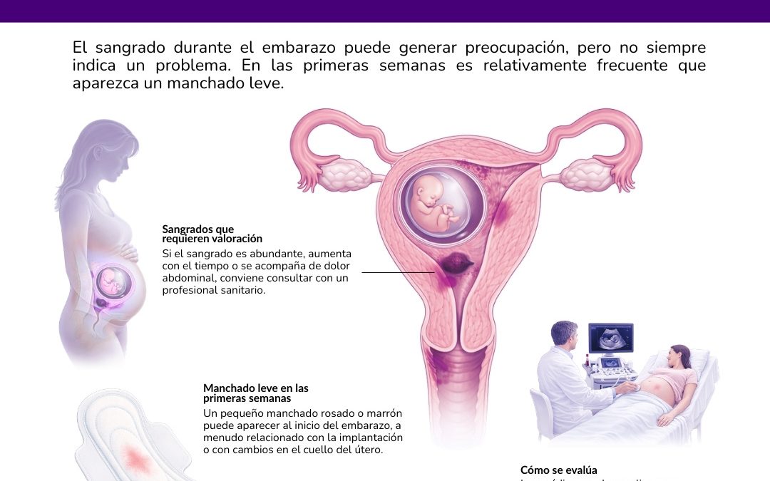 Sangrado en el embarazo: causas, qué significa y cuándo consultar