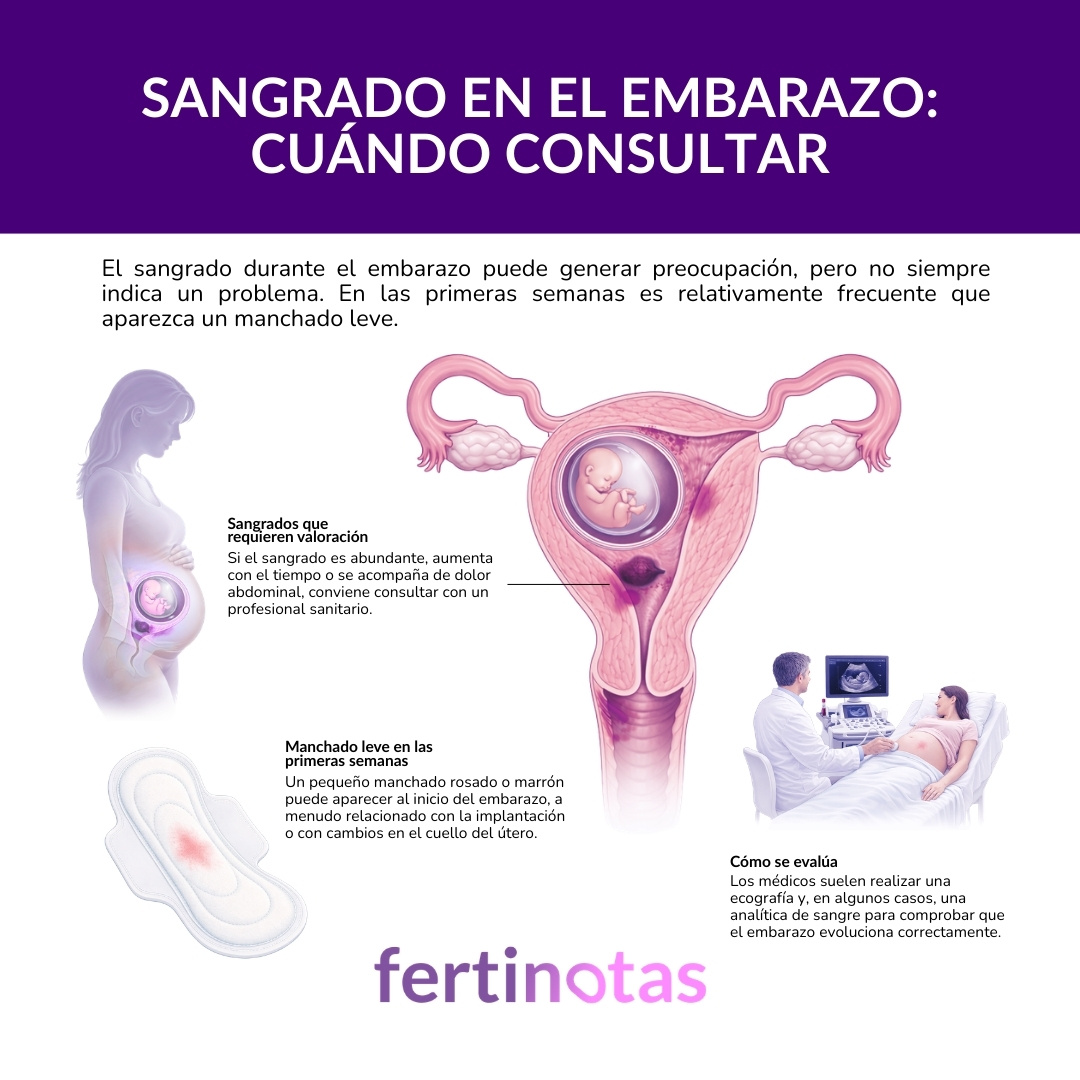 Infografía sobre el sangrado durante el embarazo y cuándo es recomendable consultar con un médico