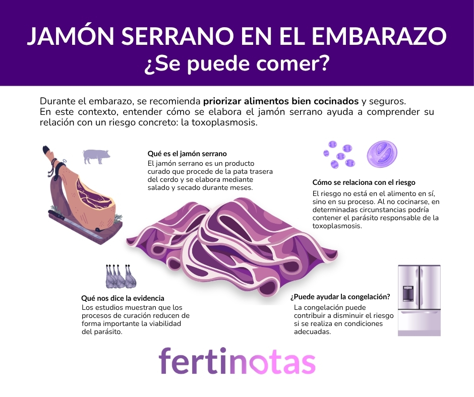 Infografía sobre el consumo de jamón serrano en el embarazo, su elaboración y el riesgo de toxoplasmosis