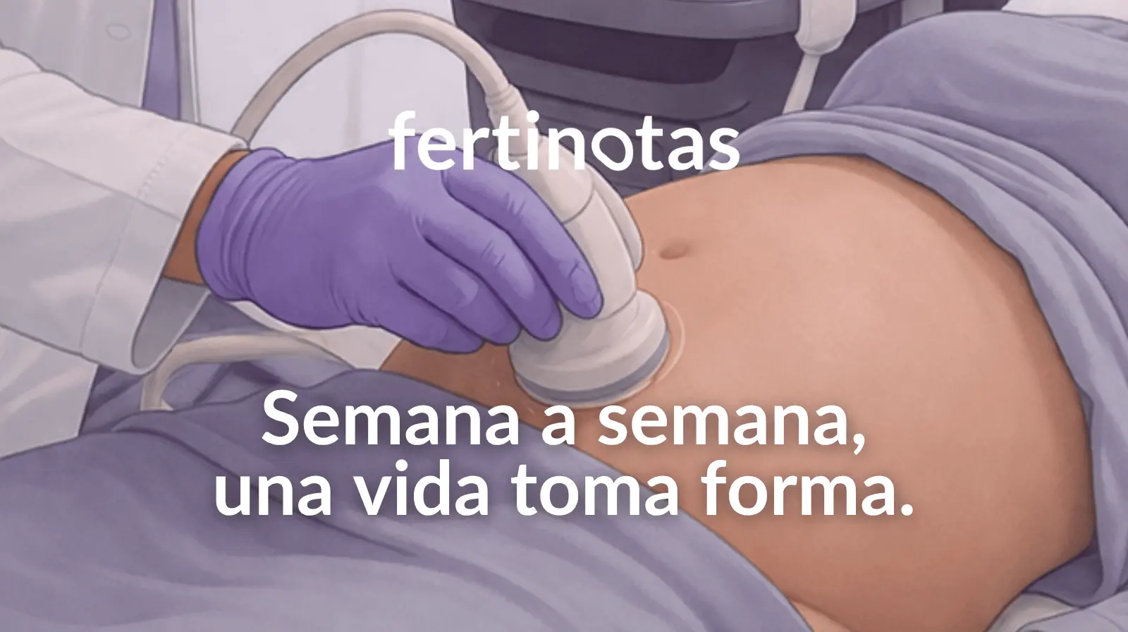 Ecografía en embarazo que muestra el desarrollo del bebé semana a semana