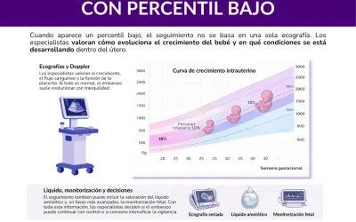 Seguimiento del embarazo con percentil bajo: pruebas y control
