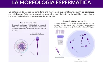 Morfología espermática: del 14% al 4% explicado