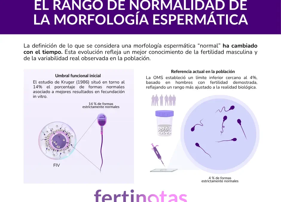 Morfología espermática: del 14% al 4% explicado