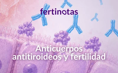 Anticuerpos tiroideos y fertilidad: anti-TPO y anti-TG