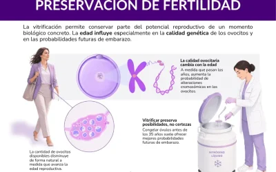 ¿Cuál es la mejor edad para vitrificar óvulos?