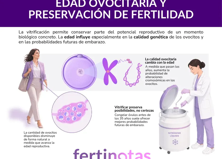 ¿Cuál es la mejor edad para vitrificar óvulos?