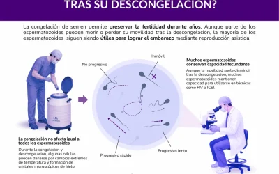 ¿Qué supervivencia tienen los espermatozoides tras la descongelación?