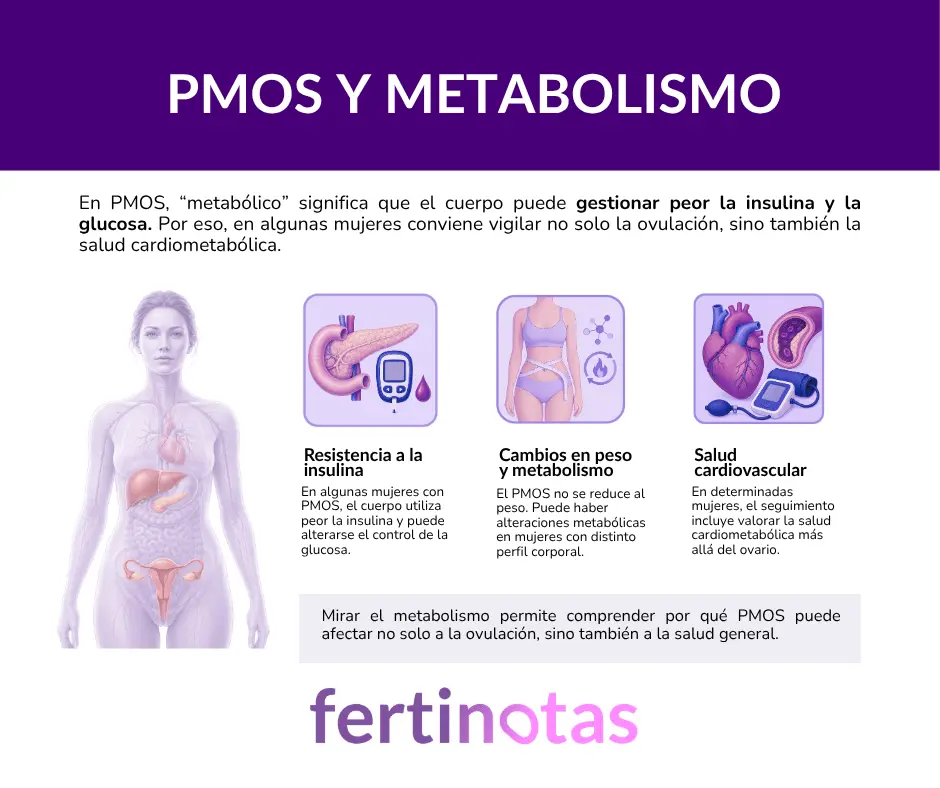 Infografía sobre PMOS y metabolismo, con insulina, glucosa, peso y salud cardiovascular como aspectos del seguimiento clínico.