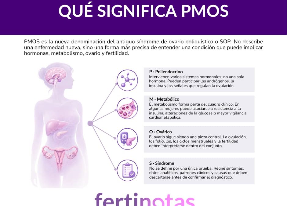 PMOS y fertilidad: qué es el síndrome ovárico metabólico poliendocrino