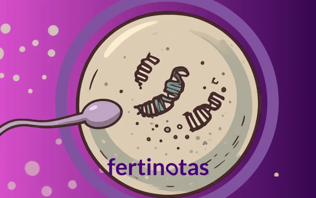 ¿Puede el óvulo reparar el ADN del espermatozoide?