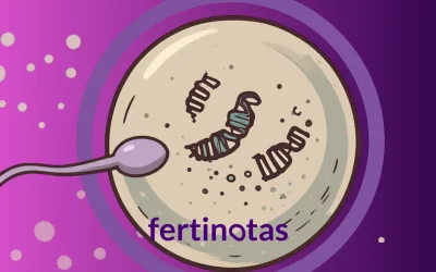 ¿Puede el óvulo reparar el ADN del espermatozoide?
