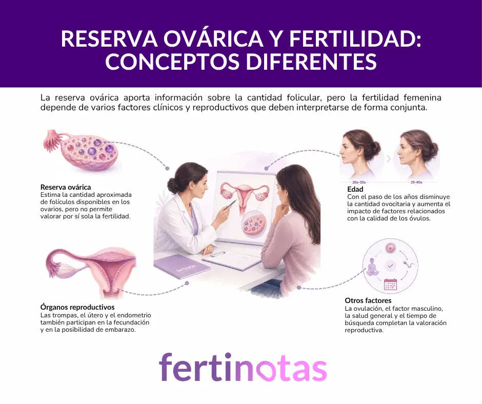 Infografía médica con especialista en reproducción explicando cómo la reserva ovárica es solo uno de los factores que influyen en la fertilidad femenina.