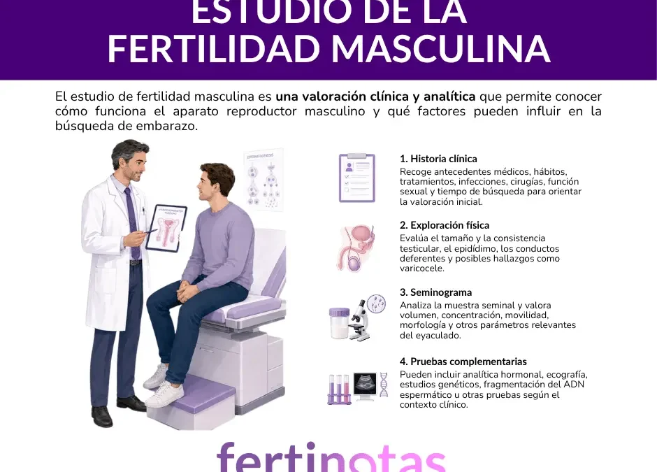 Estudio de fertilidad masculina: pruebas y resultados