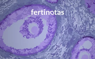Fase folicular: qué ocurre antes de la ovulación