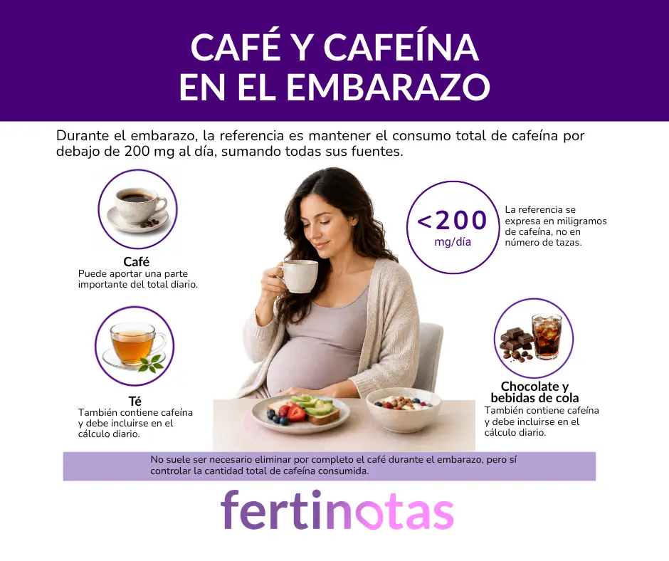 Infografía sobre café y cafeína en el embarazo con la recomendación de mantener el consumo total por debajo de 200 mg al día.