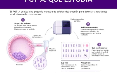 PGT o diagnóstico genético preimplantacional: tipos y límites