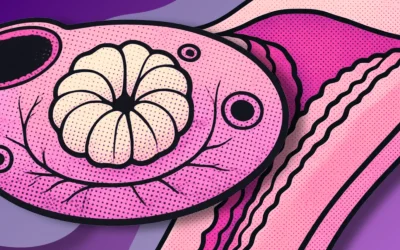Fase lútea: duración y progesterona después de ovular