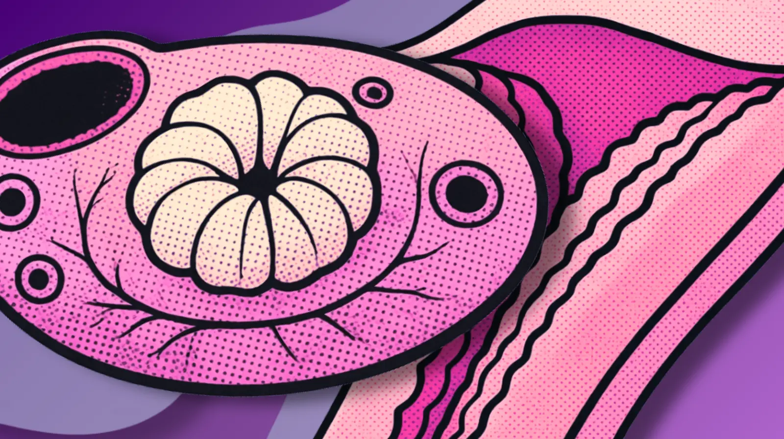 Ilustración editorial del ovario con cuerpo lúteo y del endometrio durante la fase posterior a la ovulación.