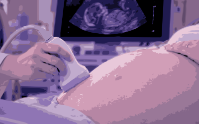 Placenta baja y placenta previa: diferencias y seguimiento