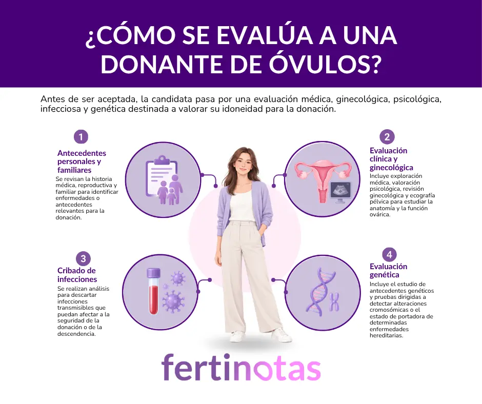 Infografía sobre cómo se evalúa a una donante de óvulos mediante antecedentes personales y familiares, valoración médica y ginecológica, cribado de infecciones y evaluación genética.