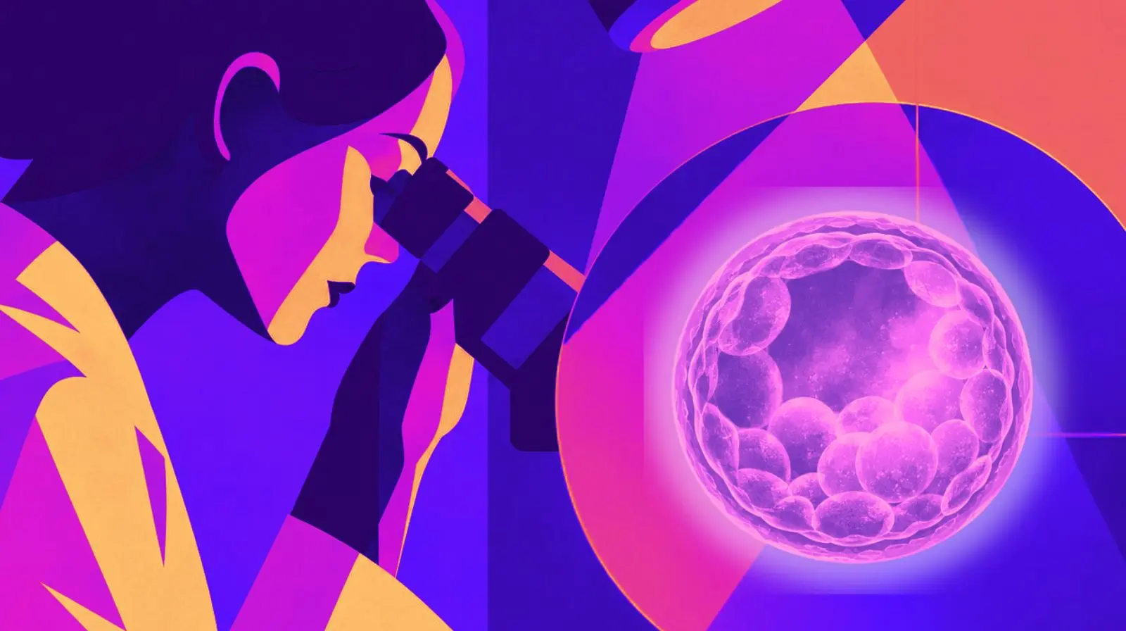 Ilustración de una embrióloga observando un embrión humano en fase de blastocisto mediante un microscopio, con una representación luminosa de su estructura celular.